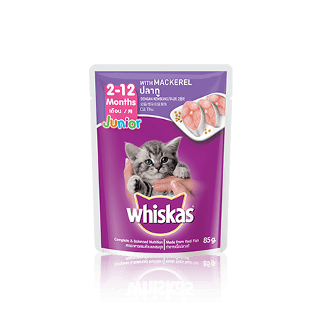 Whiskas junior kitten Sale